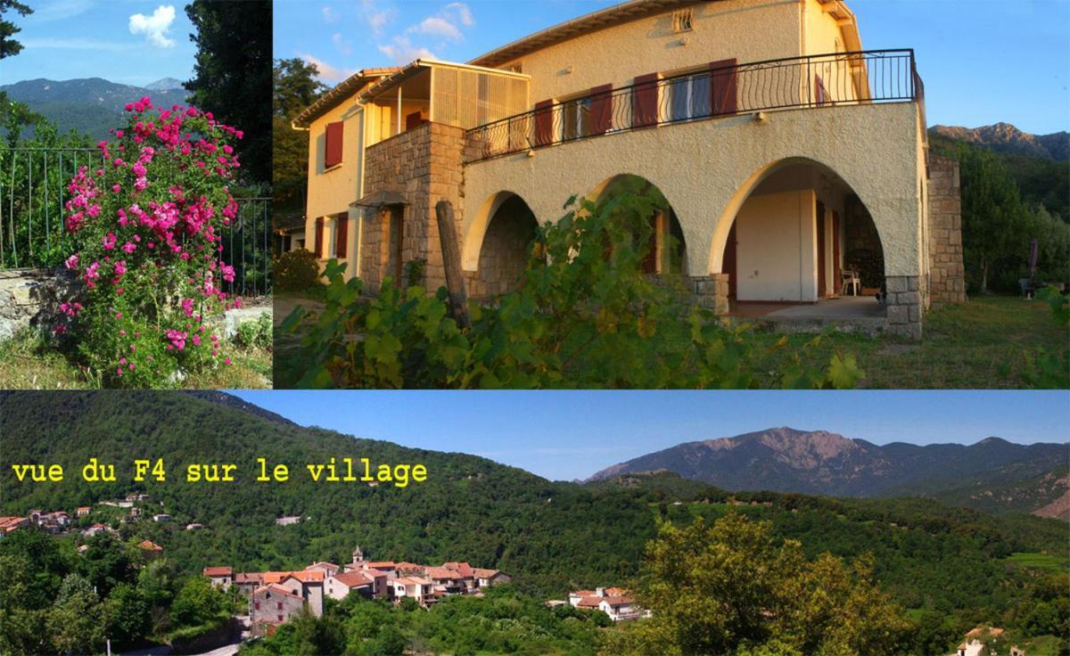 95M2 Au Calme A 25Mn Ajaccio, Plages, Linge Inclus Parking Ok Ucciani Exterior photo